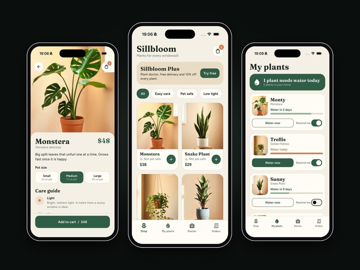 Sillbloom, Plant care